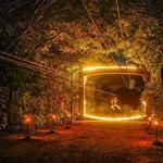 Xplor Fuego Nighttime Adventure with Transportation