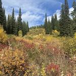 Whitefish Mountain Resort