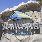 SeaWorld San Diego