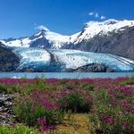 Portage Glacier Hike and Whittier
