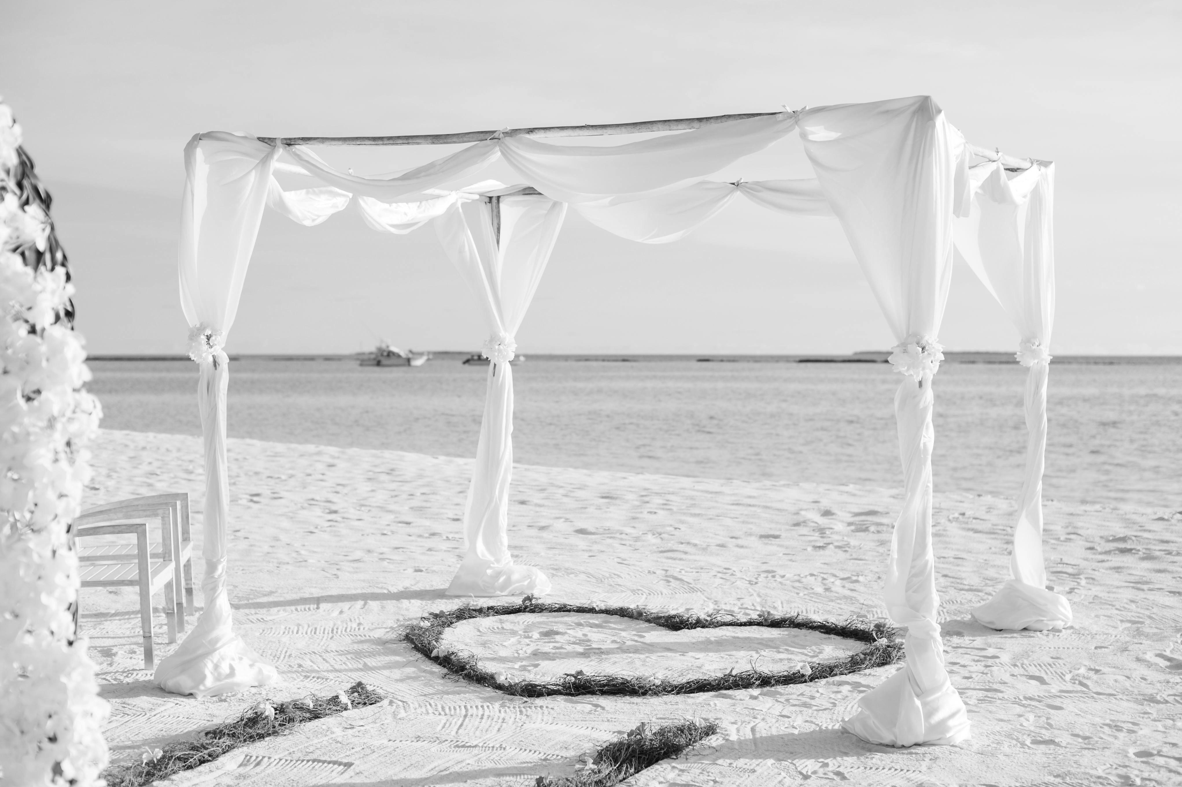 The Wedding Website of Kamilah Claxton and Donnie James