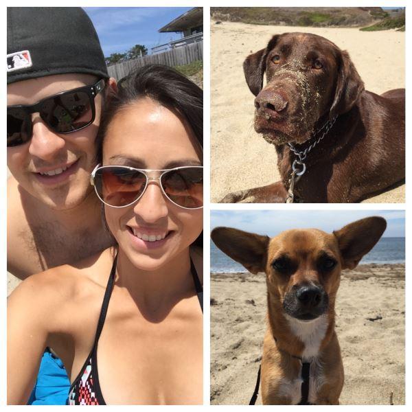 Beach day with the pups
