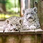 Cape May County Park & Zoo