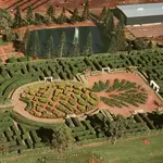 Dole Plantation