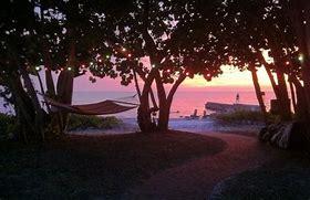 The Wedding Website of Deanne Lucille Casari and Todd Matthew Reynolds