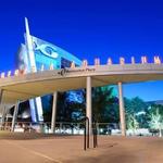 Georgia Aquarium