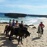 Rancho Loco Aruba Horseback Riding