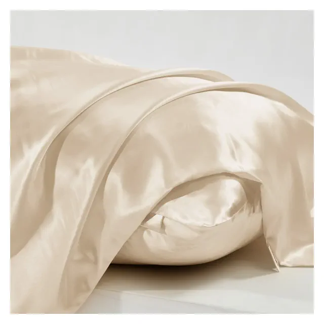 Deconovo 100% Silk Pillowcase 2-Pack, 19 Momme, Solid Color Champagne 20W x 30L