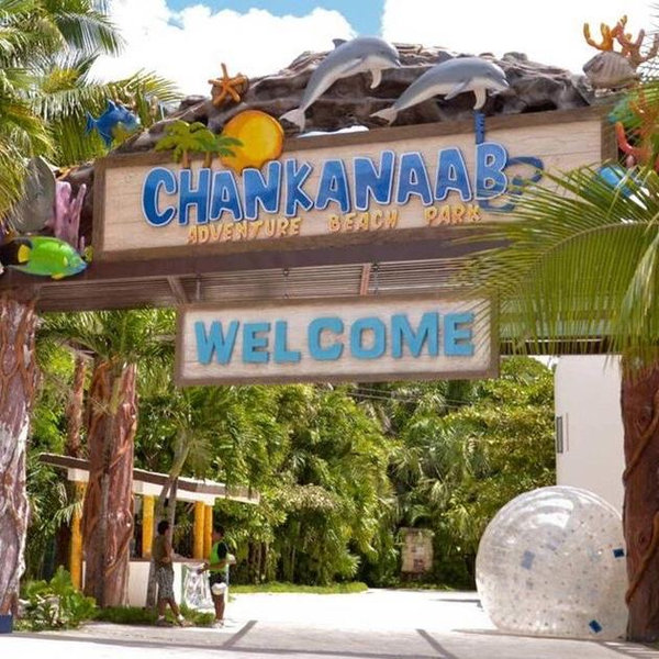 Honeymoon Experience - Chankannab Day Pass & Dolphin Encounter