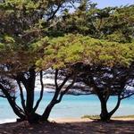 Leffingwell Landing State Park