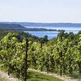Wineries