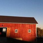 Abandon Brewing Company