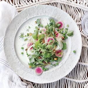 Old Havana Dinner Plates, Set of 4 (White)