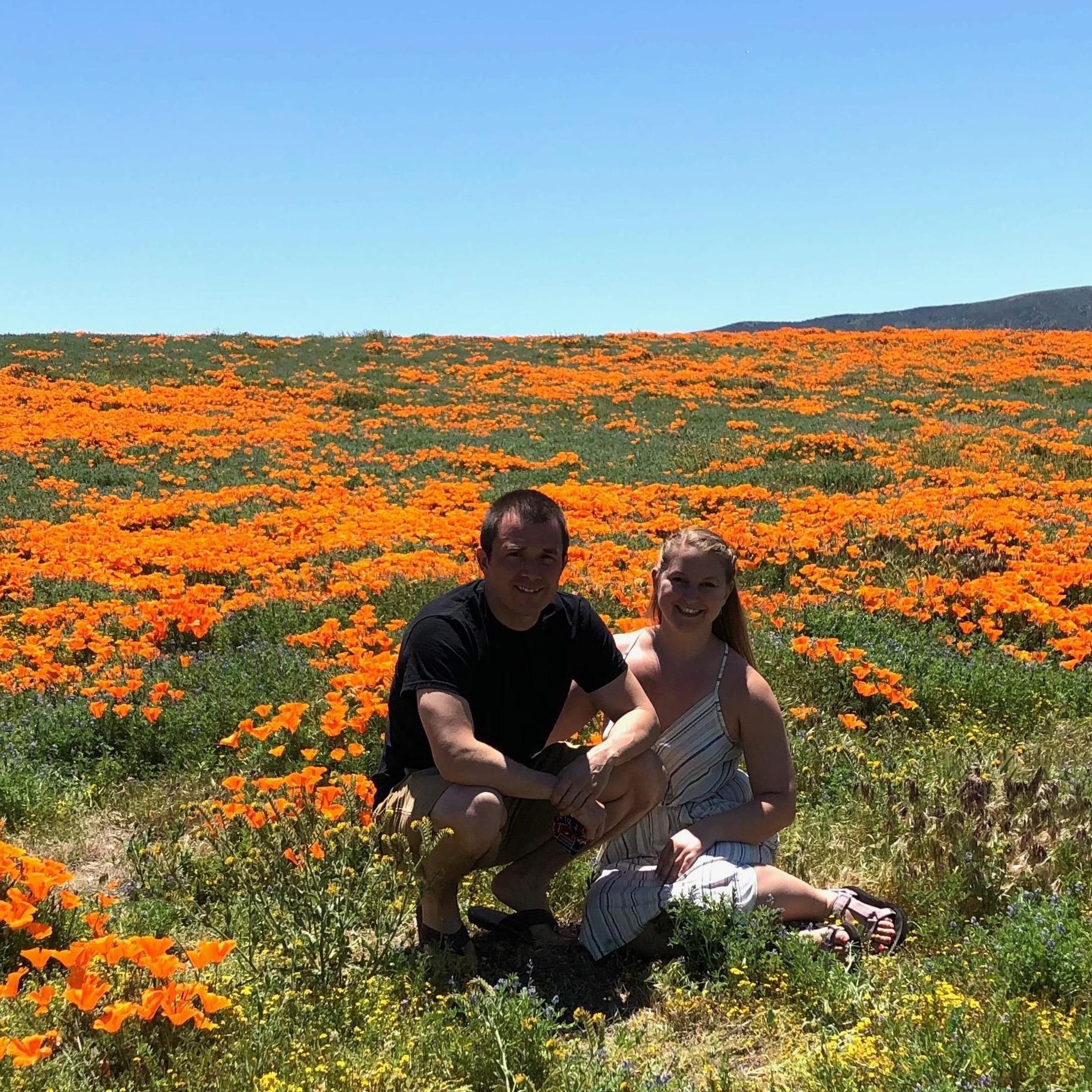 Lancaster, CA - Antelope Valley California Poppy Reserve