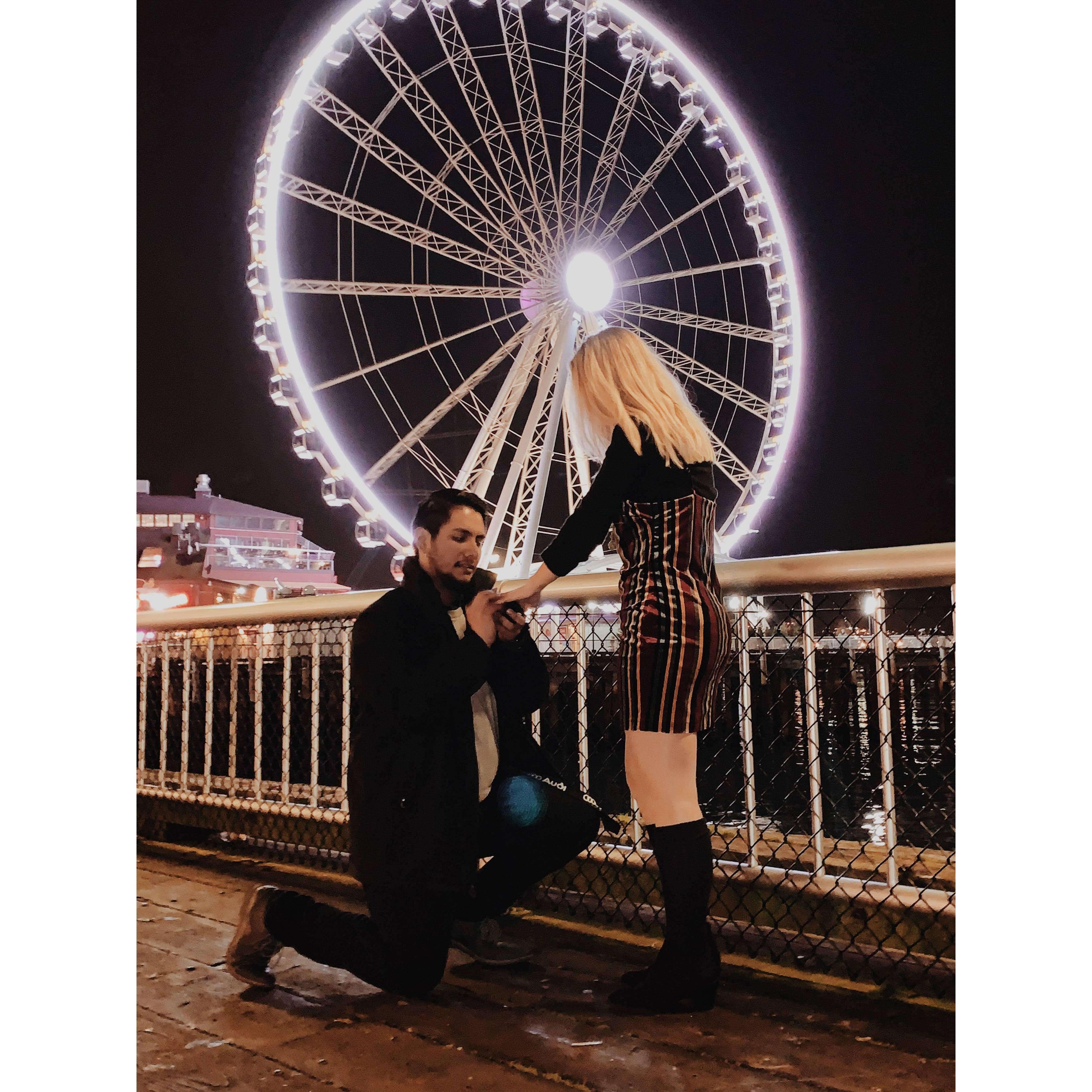 The Proposal