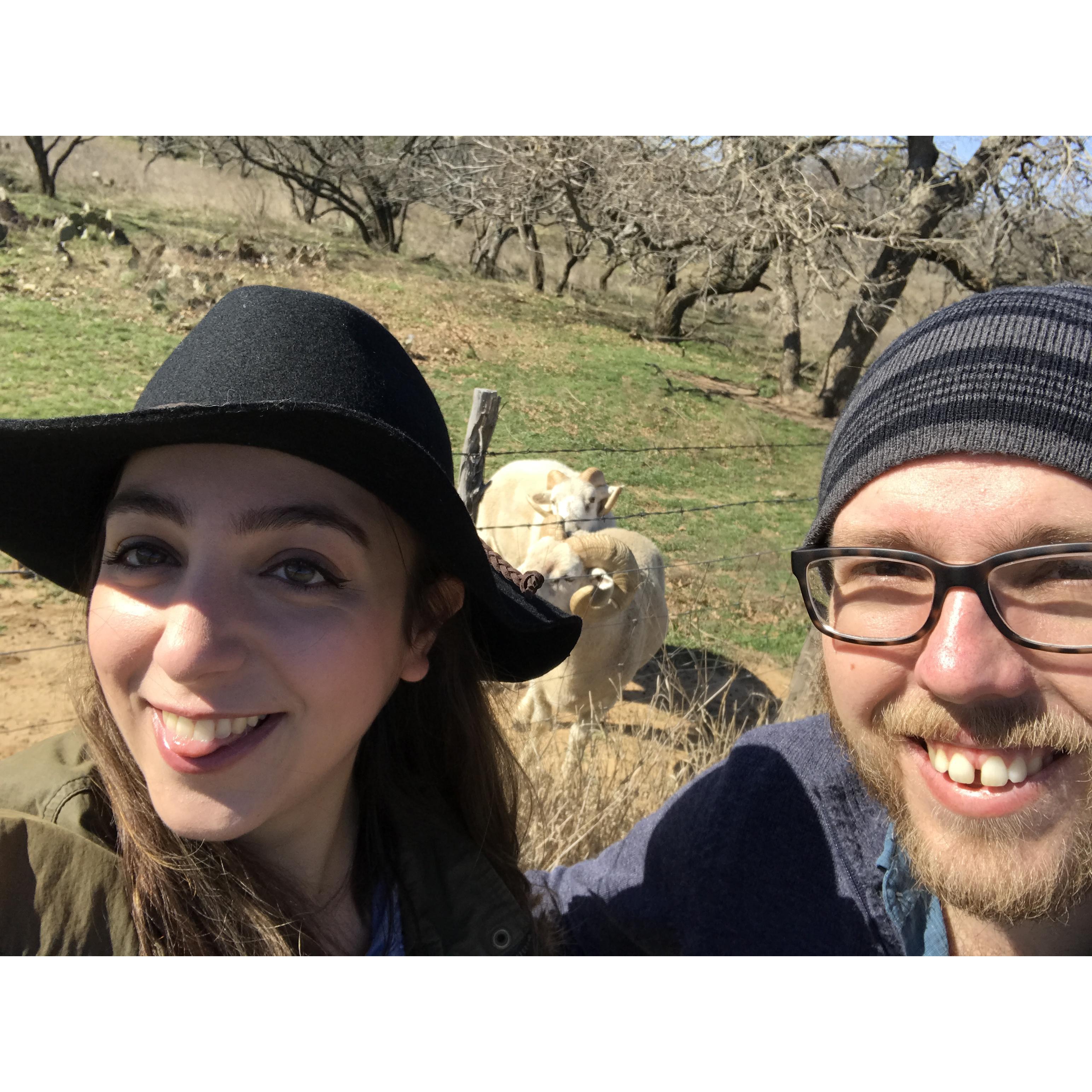 Any time we're around fluffy animals we're really happy.