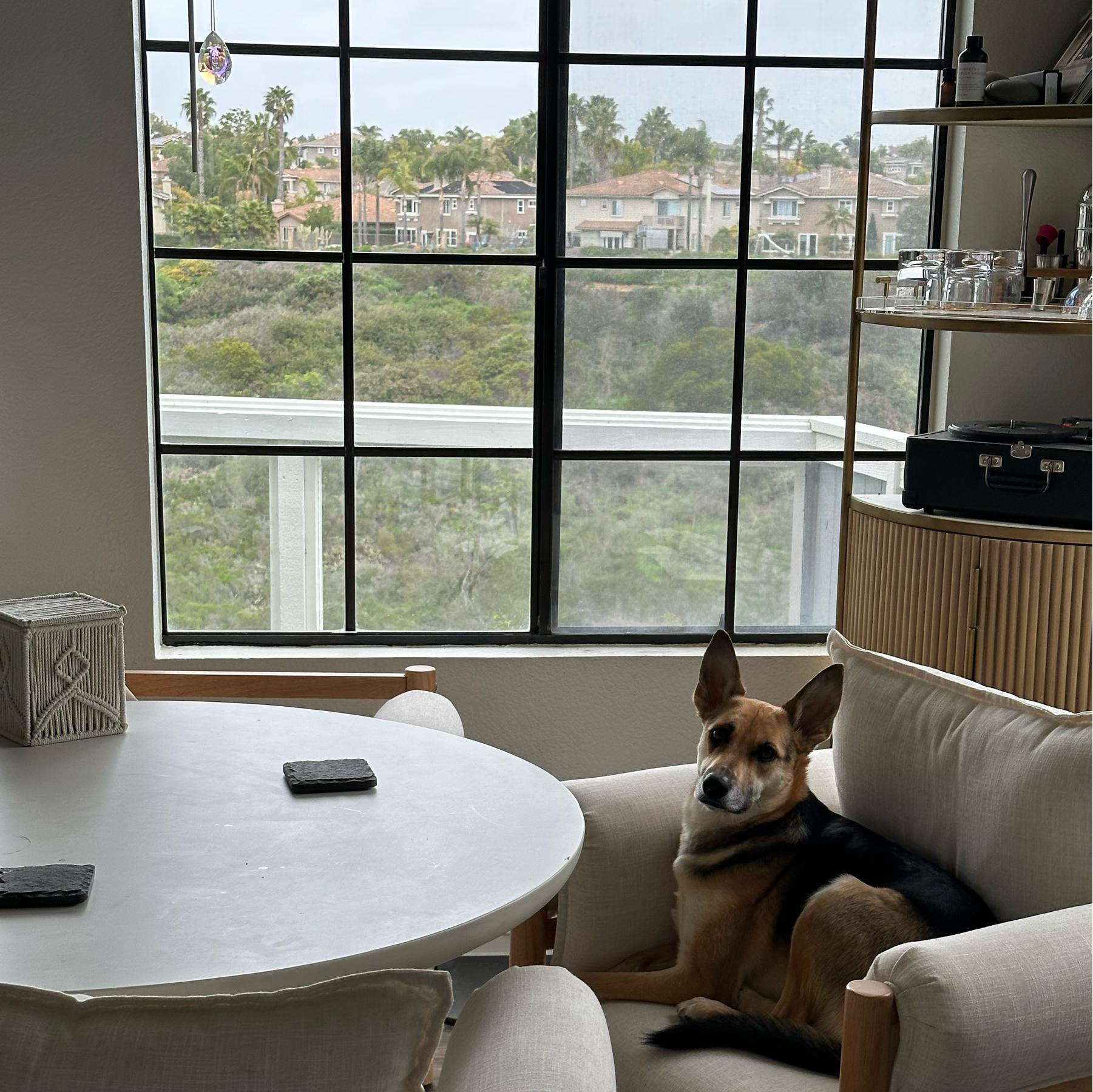 Whole home Motorized blinds