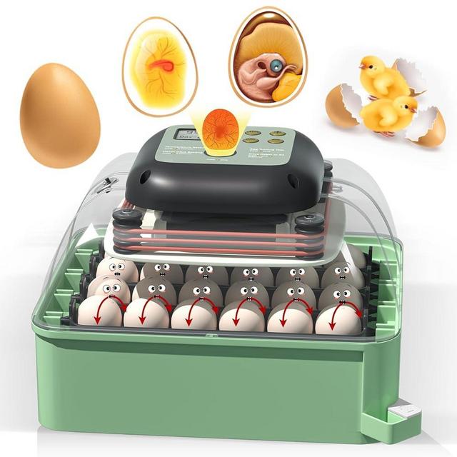MIKIROY Chicken Egg Incubator with Automatic Egg Turning and Humidity Control – Ideal for Chicken, Duck, and Quail Eggs – Holds 24 Eggs (Green)