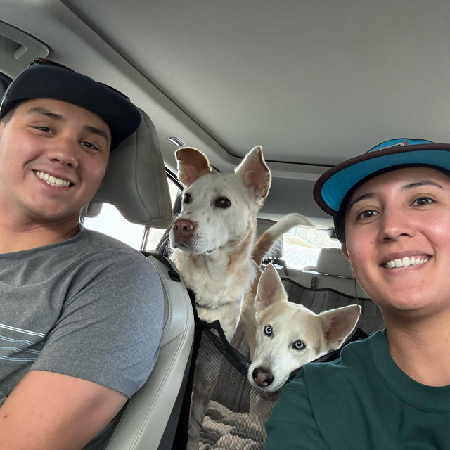 Donate to El Faro de los Animales & POSO Dog Rescue