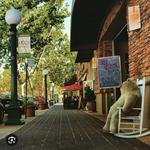 School Street Downtown Lodi
