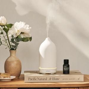 Lulu and Georgia Vitruvi Stone Diffuser