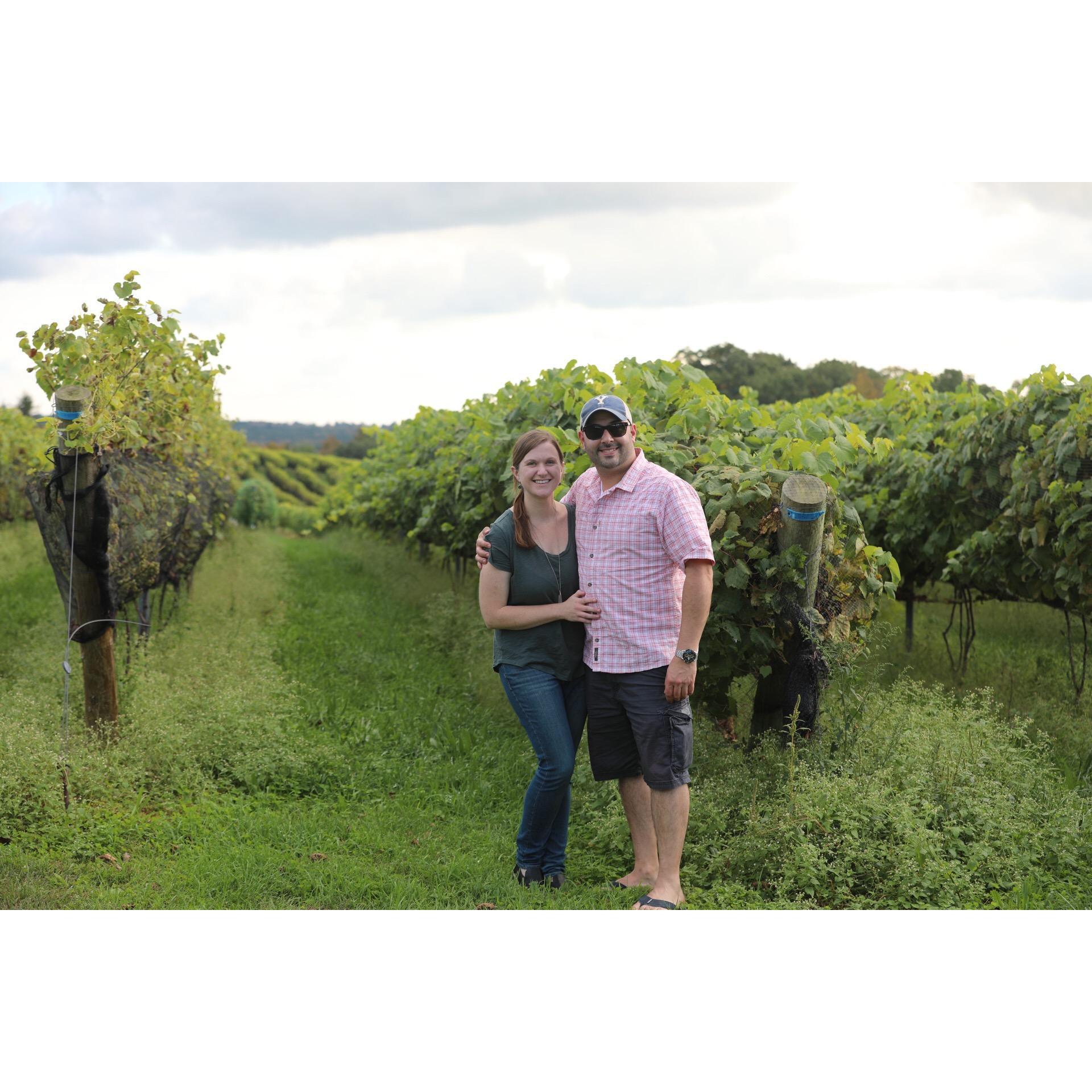 We do look good in a fall vineyard ;)
