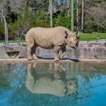 Milwaukee County Zoo
