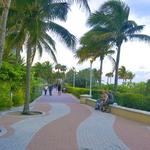 The Boardwalk