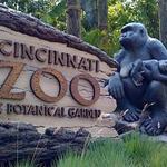 Cincinnati Zoo & Botanical Garden