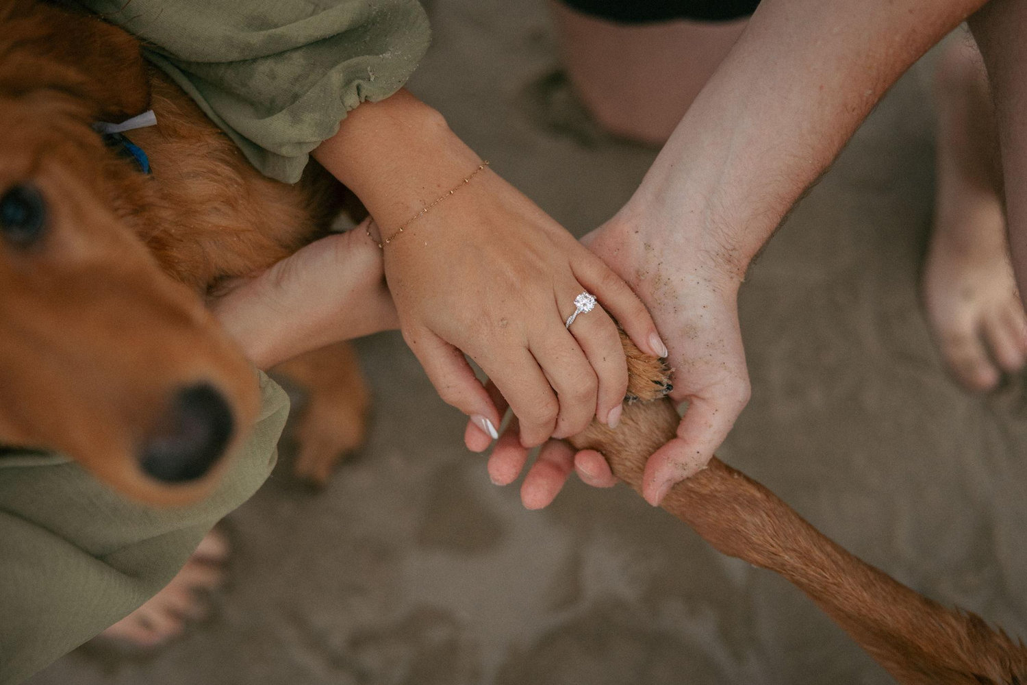 The Wedding Website of Bradley Hecker and Rileigh Hill