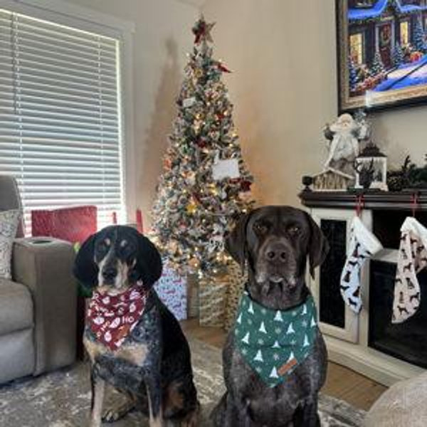 Banks and River's Pup Fund