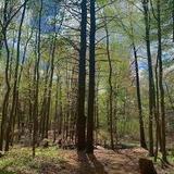 Stratham Hill Park