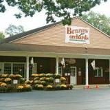 Battleview Orchards
