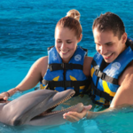 Dolphin Cove Ocho Rios