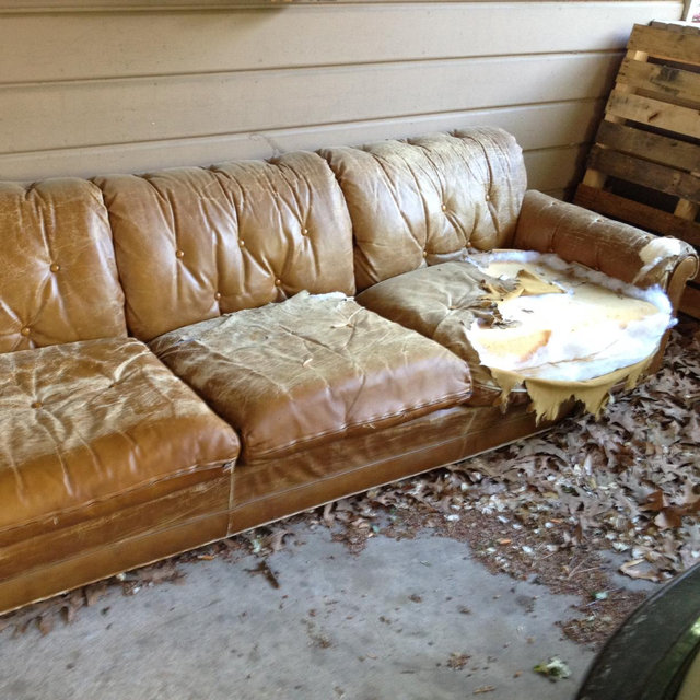 New Couch
