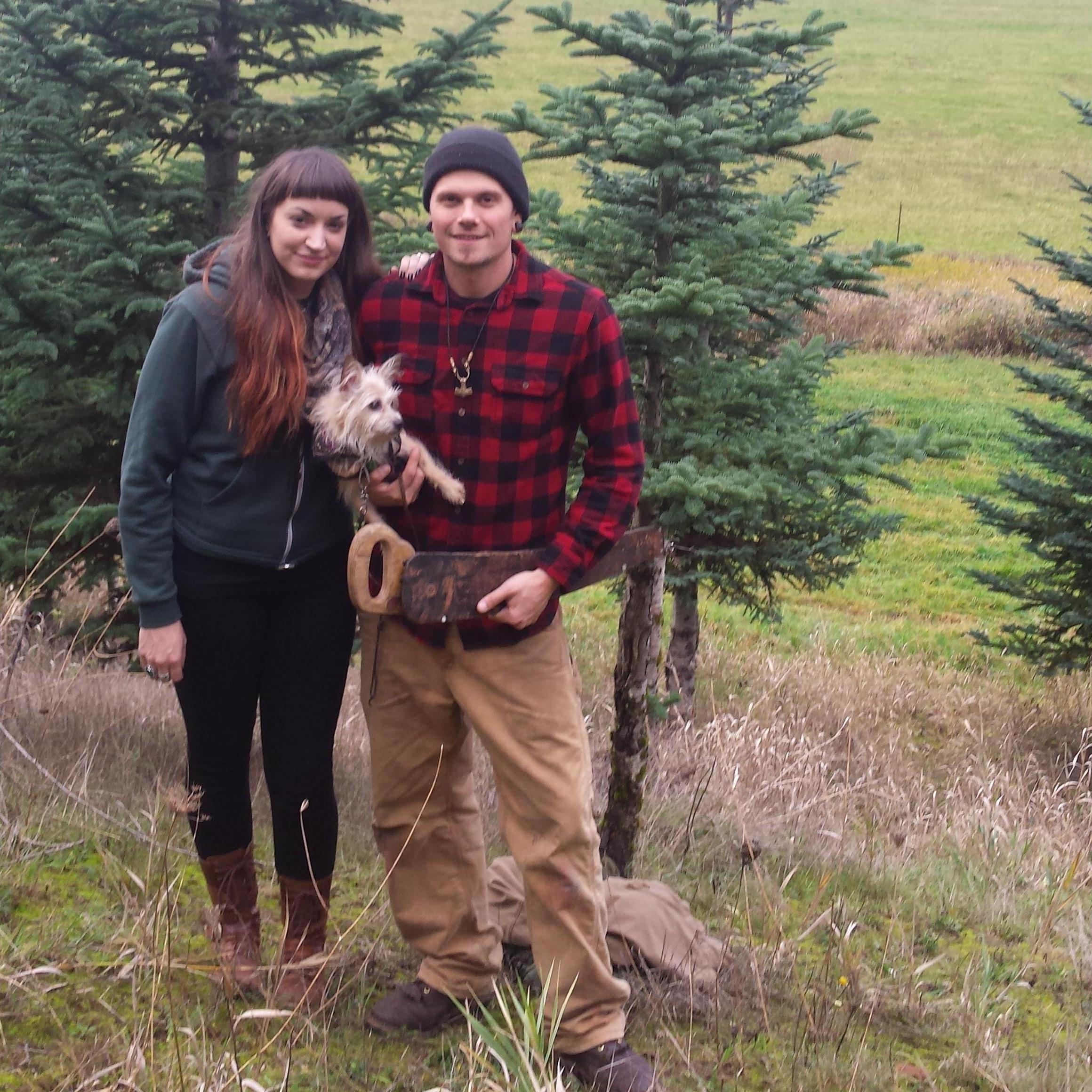 We found the perfect tree for our first Christmas tree