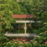 Historic Townsend/Sunshine Covered Bridge