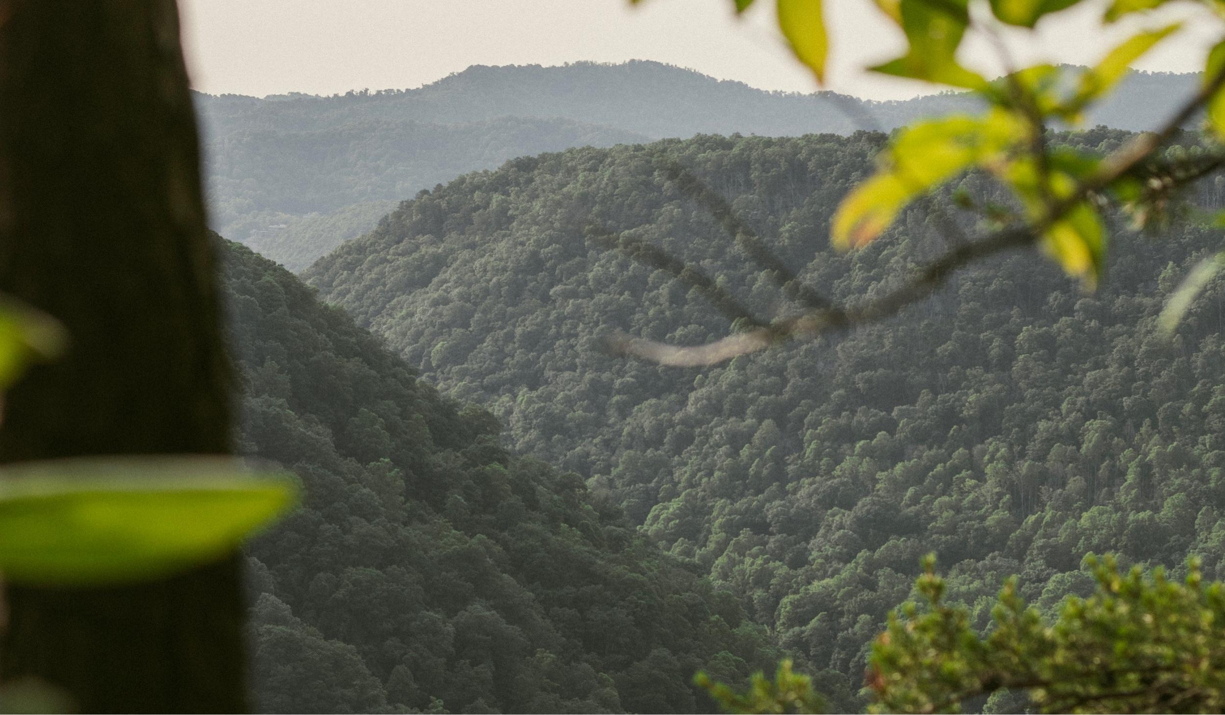 Hero Slideshow Image 0