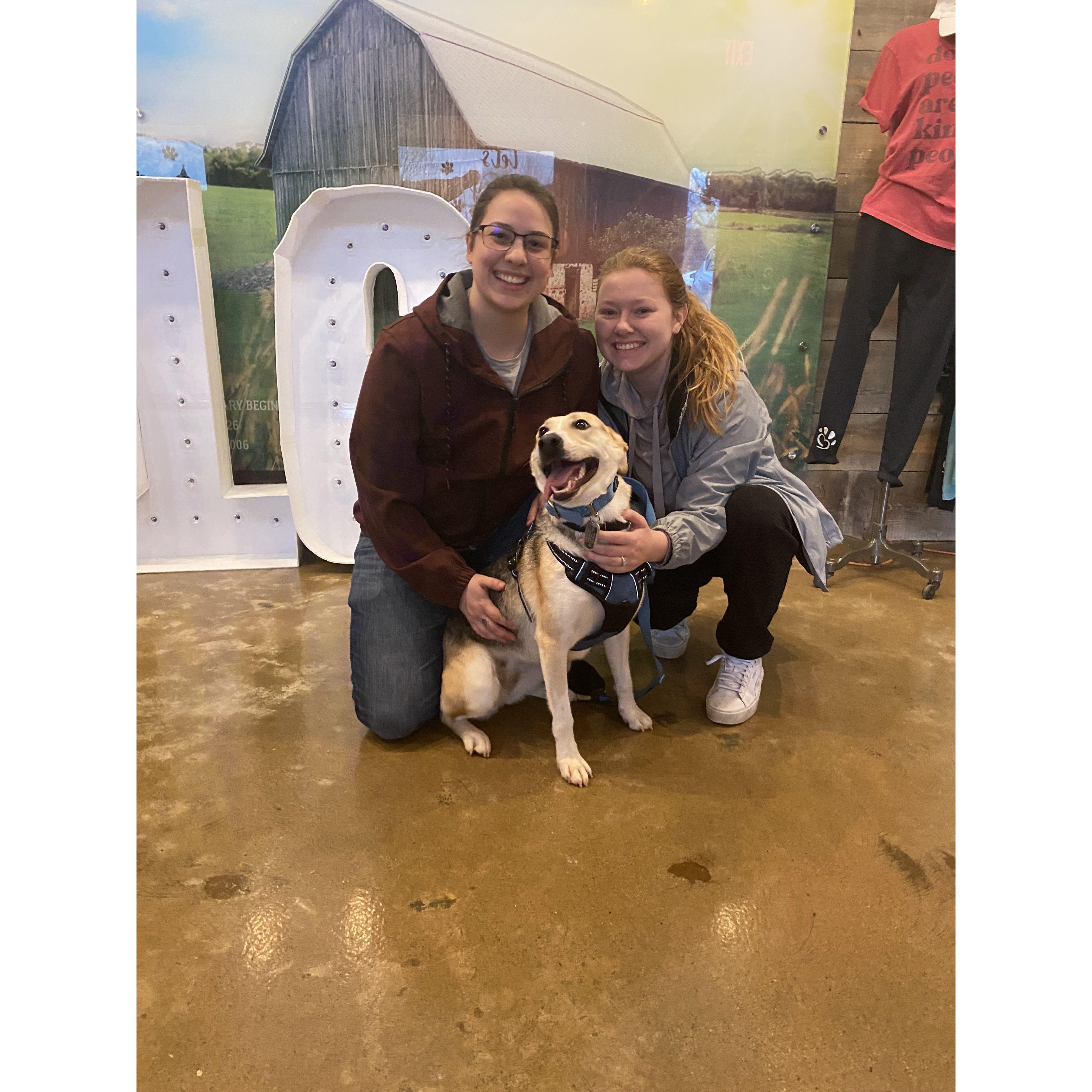 The day we rescued our best friend