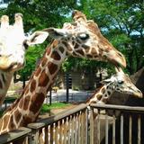 Milwaukee County Zoo
