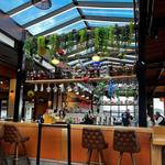 Monarch Ocean Pub