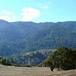 Sanborn County Park