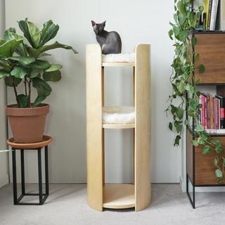 Castillo Tall Modern Cat Tower