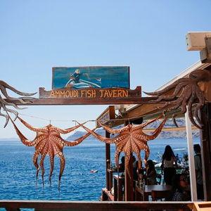 Traditional Greek Taverna Lunch