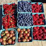 Lewin Farms