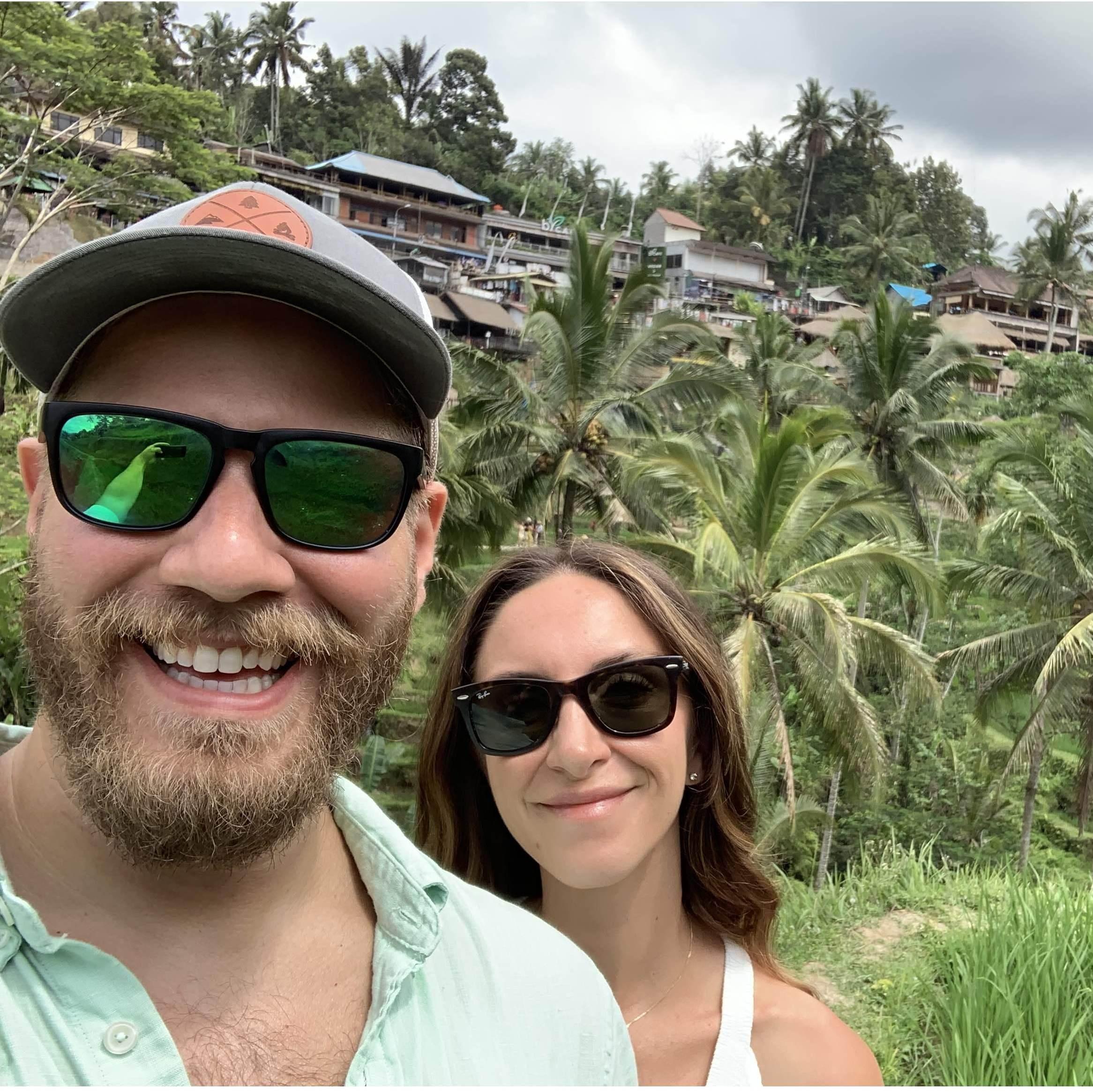 Rice fields of Bali!