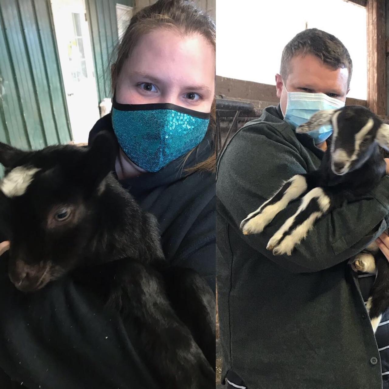 Rob was a romantic, as always, and took me to Newport and planned a whole special day before presenting me with a promise ring including cuddles with baby goats.