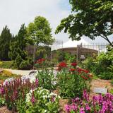 Botanical Garden of the Ozarks