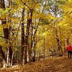 Elm Creek Park Reserve