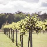 Silver Coast Winery